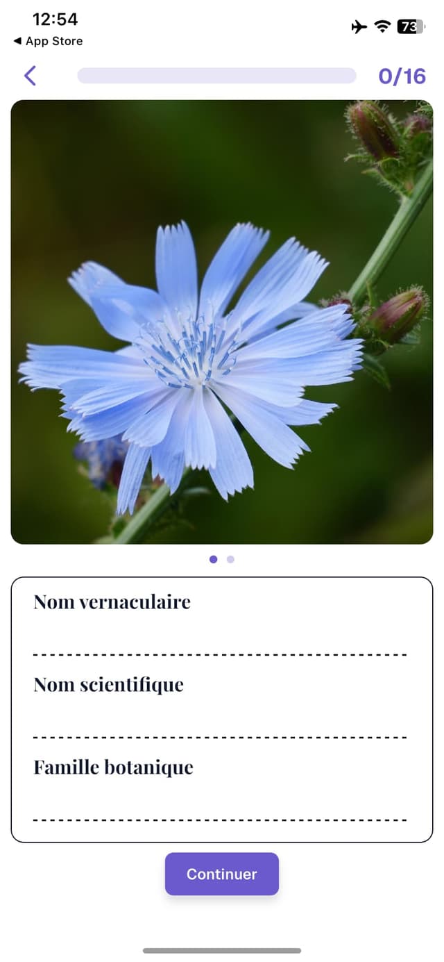 Quiz plantes fraîches